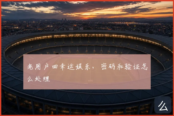 老用户回幸运娱乐，密码和验证怎么处理